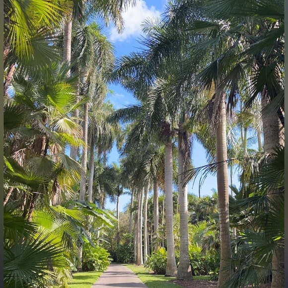 miami181012